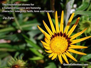 zig_ziglar_quotes Quotes 8
